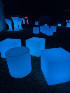 IMG_4788